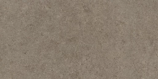 Rank taupe 60/120/0,9 nat/rett.
