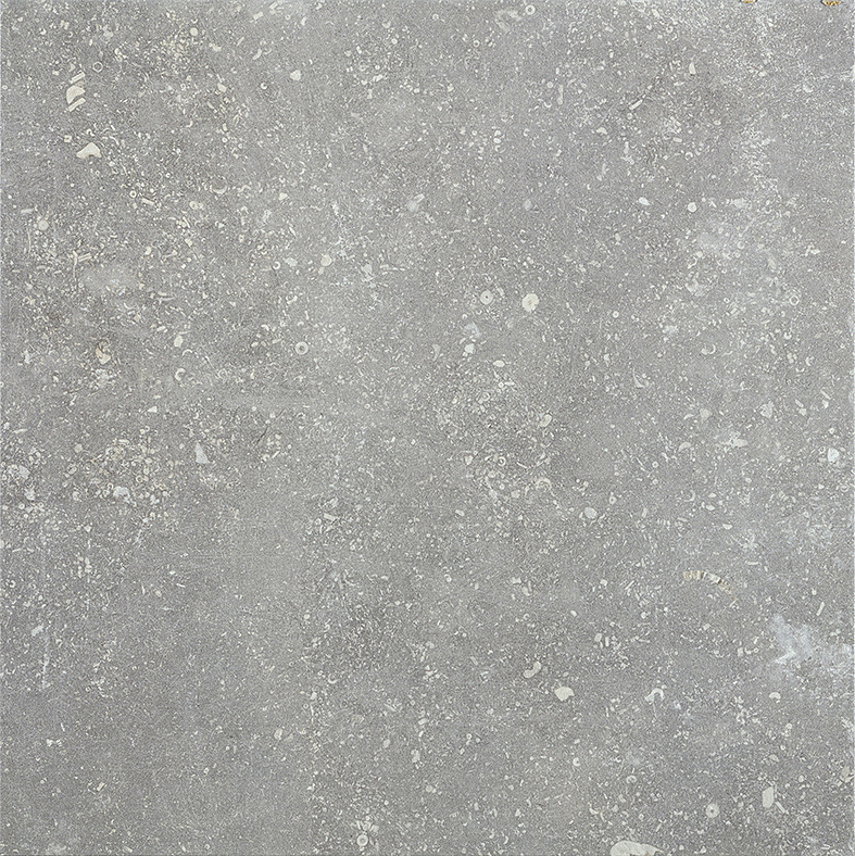 Wallon gris 60,8/60,8/1,0 nat.