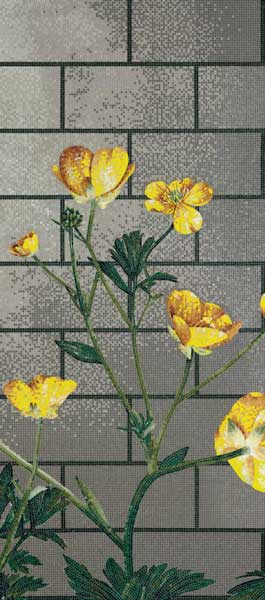Decori Ranunculus B 1/1/0,4 papier+kit
