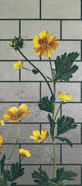 Decori Ranunculus D 1/1/0,4 papier+kit