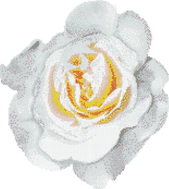 Decori rosa bianca 345/338/0,4 papier+kit