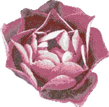 Decori rosa rosa 345/338/0,4 papier+kit