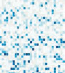 Sfumature new fiordaliso mix 1/2 1/1/0,4 papier+kit (0,83m²