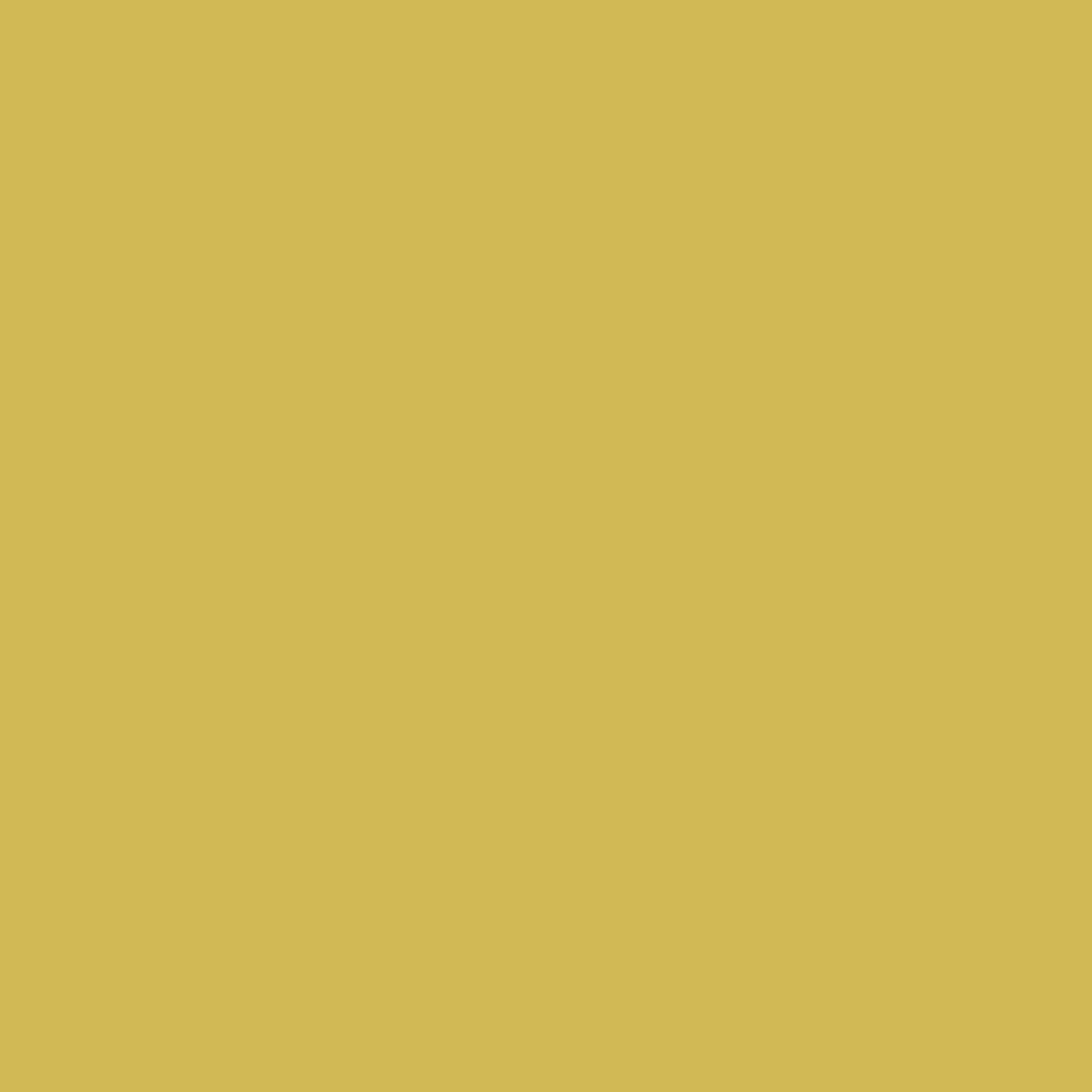 Fillgel plus 5501 giallo senegal 3kg