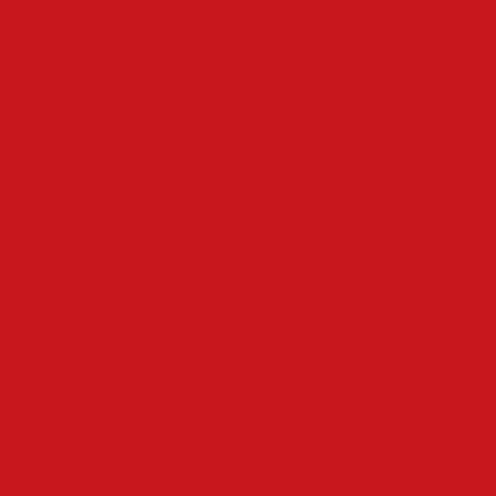 Fillgel plus 9901 rosso oriente 3kg