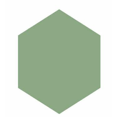 Colors hexagon lichene 20/23/1,4