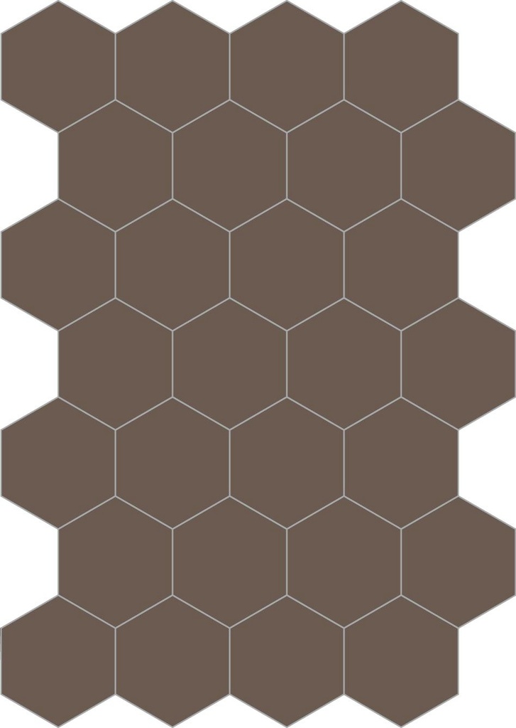 Colors hexagon tabacco 20/23/1,4