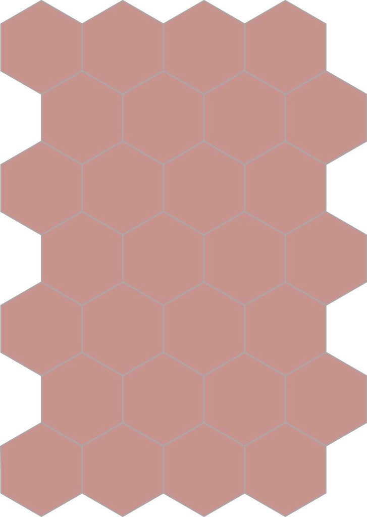 Colors hexagon fresia 20/23/1,4