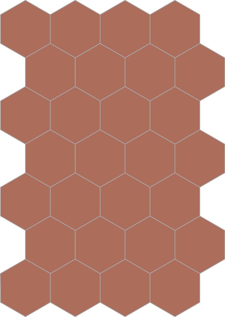 Colors hexagon ruggine 20/23/1,4