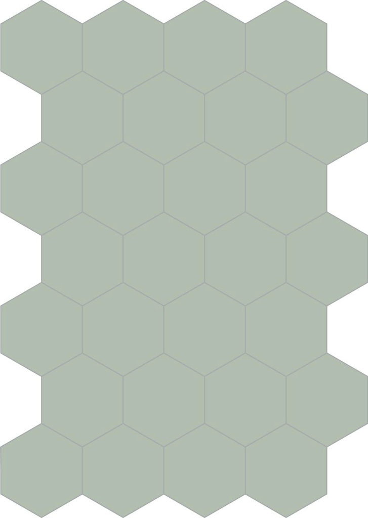 Colors hexagon argento 20/23/1,4