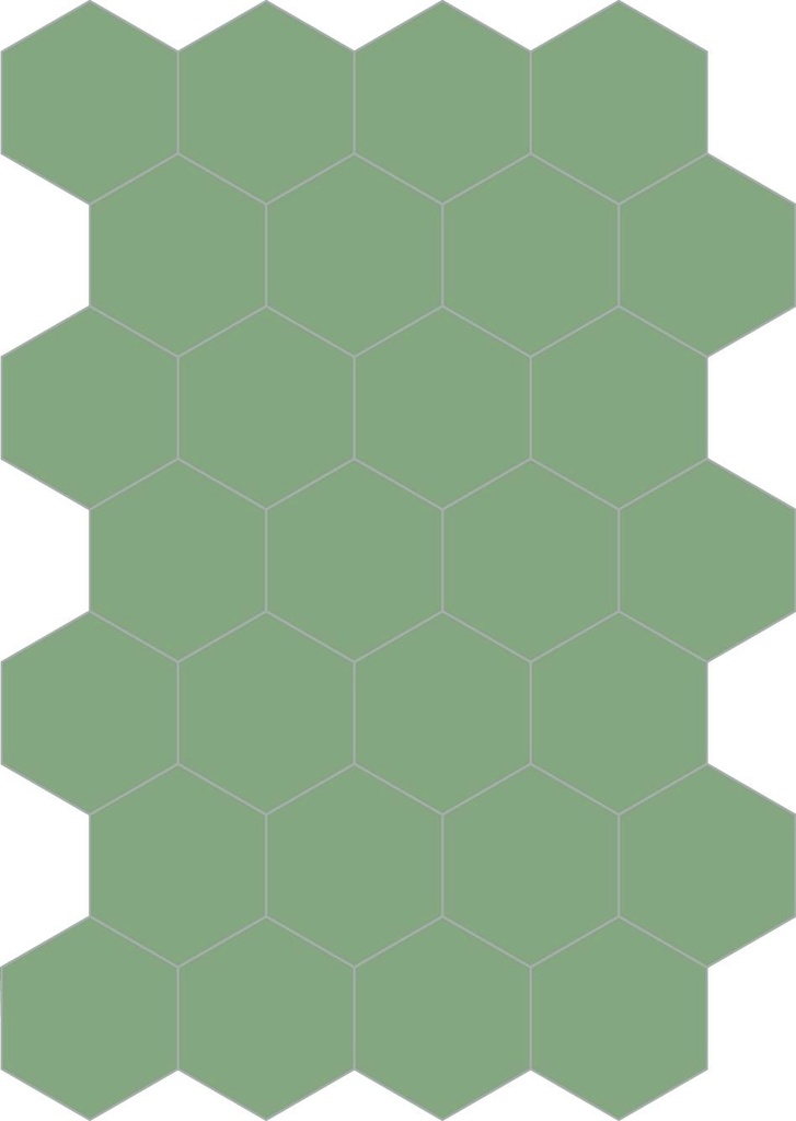Colors hexagon lichene 20/23/1,4