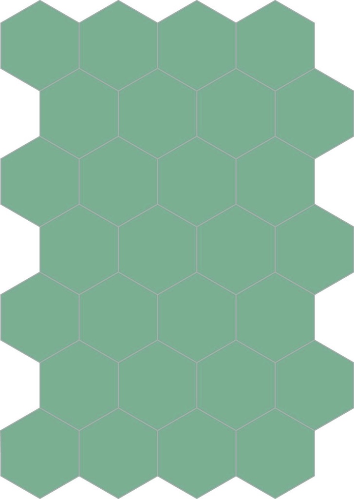 Colors hexagon caraibi 20/23/1,4