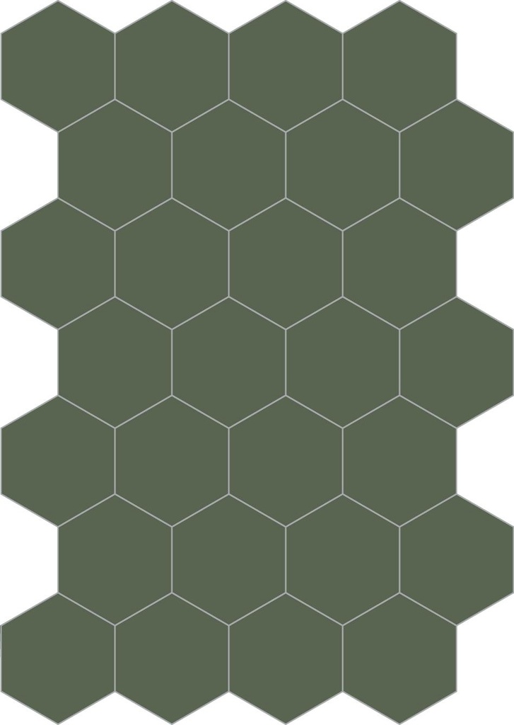 Colors hexagon muschio 20/23/1,4