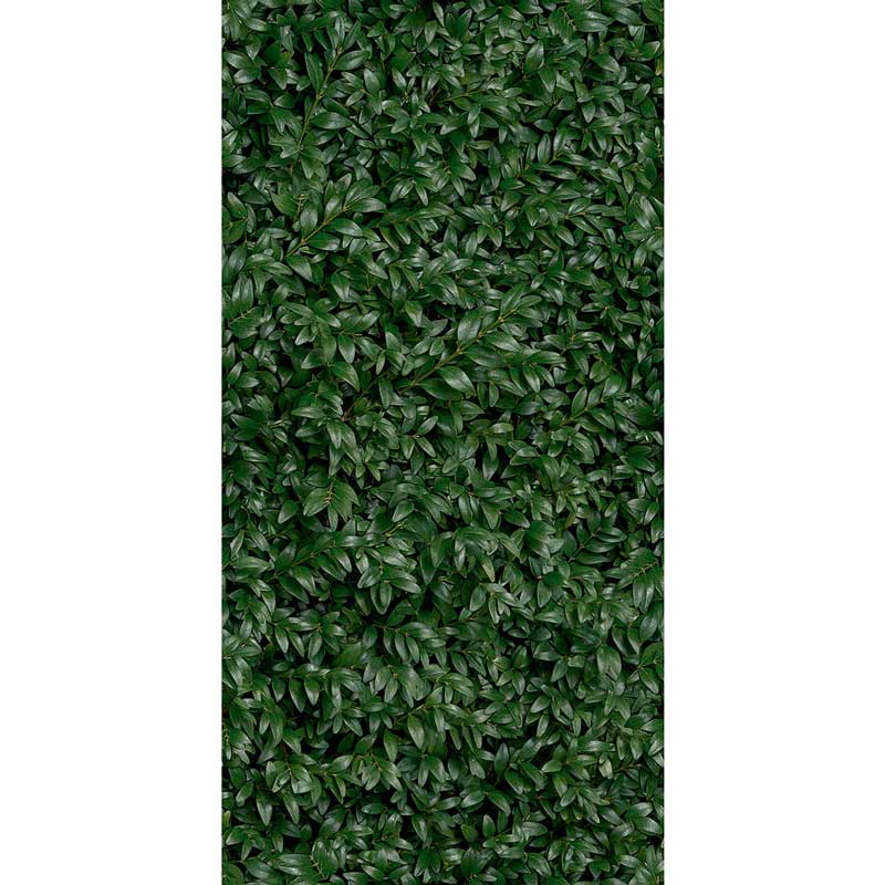 Cosmos lush E 50/100/0,35 nat/rett.