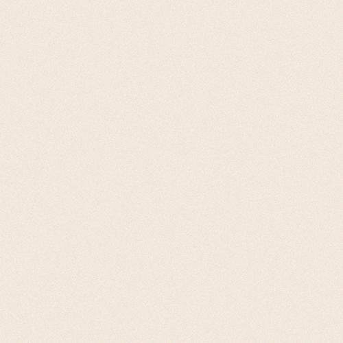 Simplicity cotone 10/10/0,68 matt (op net)