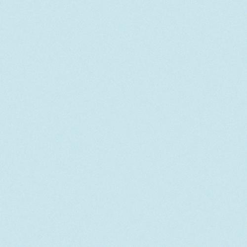Simplicity azzurro 10/10/0,68 matt (op net)