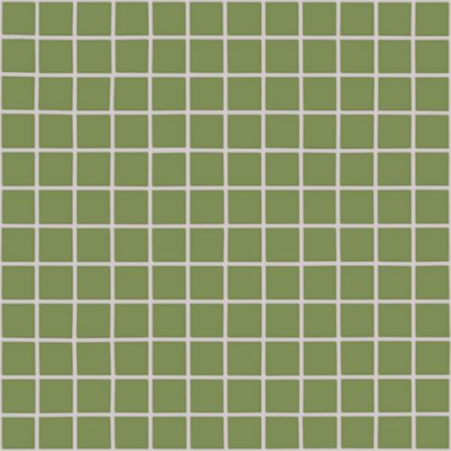 Simplicity avocado 2,5/2,5/0,55 matt (op net)