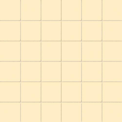 Simplicity banana 5/5/0,55 matt (op net)