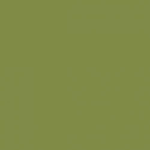 Simplicity avocado 5/5/0,55 matt