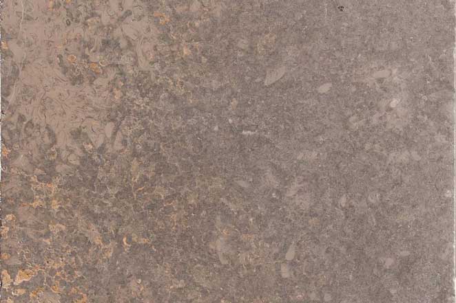 Muschelkalk antico 60/90/3,0