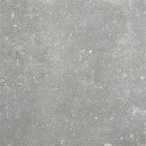 [211.001.0009] Wallon gris 60,8/60,8/1,0 nat.