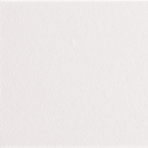 [342.001.0014] Micro white 10/10/0,6 matt.