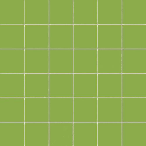 [421.002.0421] Simplicity lime 5/5/0,55 glossy (op net)