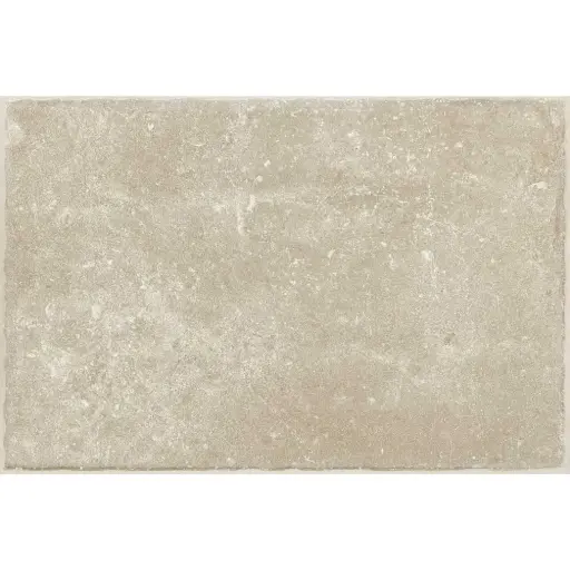 [LOT.1833] Tunis ivory 20/40/1,0 nat. (C49/6) LOT